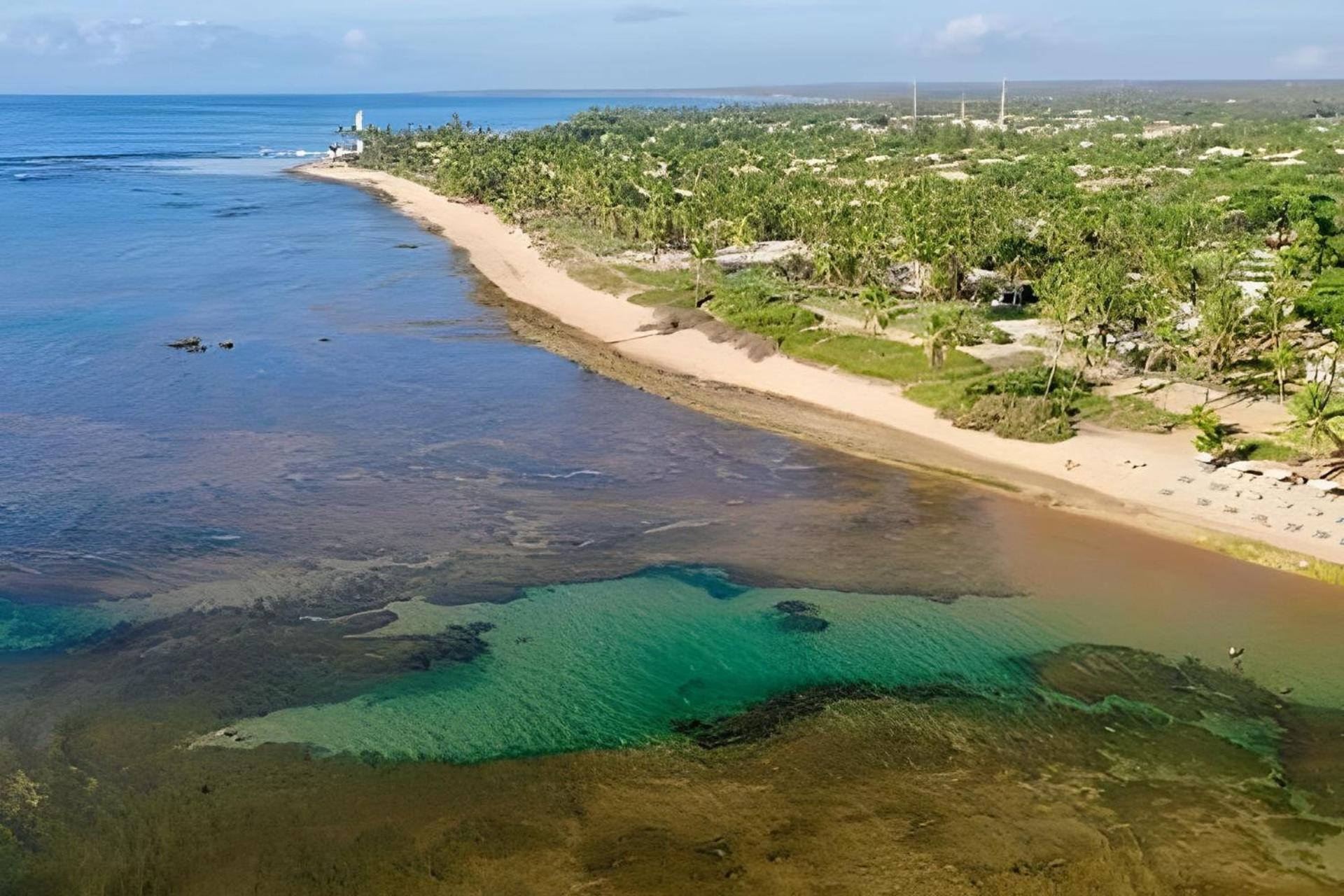Praia Do Forte Apartamento Fantastico Dış mekan fotoğraf