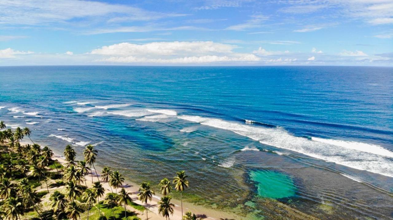Praia Do Forte Apartamento Fantastico Dış mekan fotoğraf