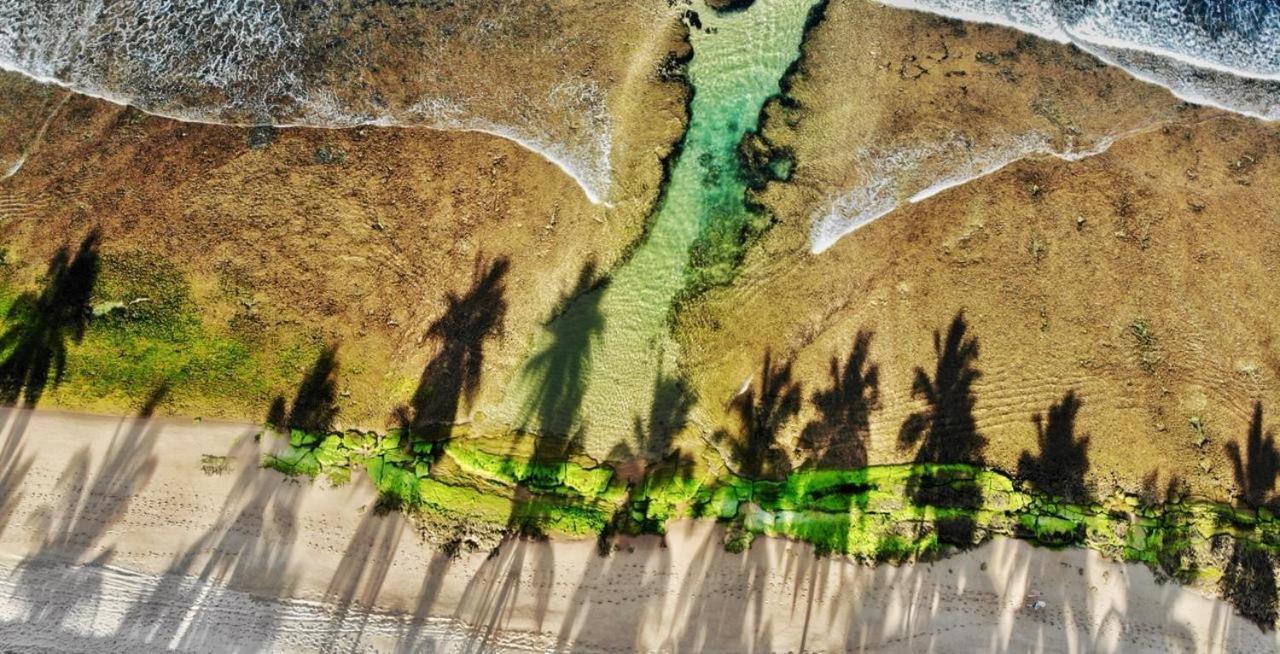 Praia Do Forte Apartamento Fantastico Dış mekan fotoğraf